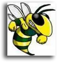 Hornets Team Logo