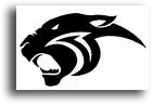 Panthers Team Logo