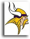 Vikings Team Logo