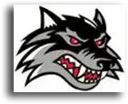 Wolves Team Logo